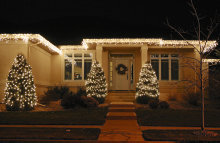 PRO lysslynge 50 LED-pærer 4,9 meter